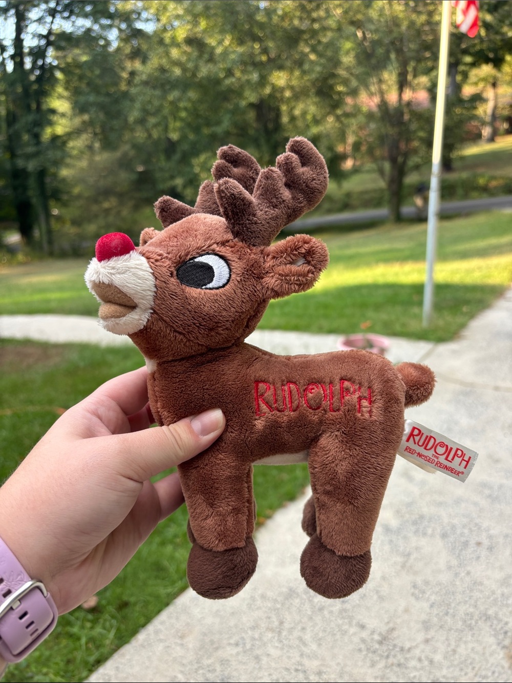Dan Dee Collectible Rudolph Plush Reindeer Plushie